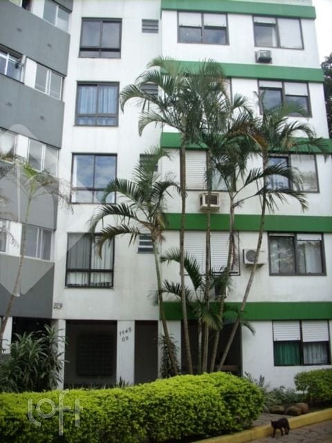 Image 31 - 250178